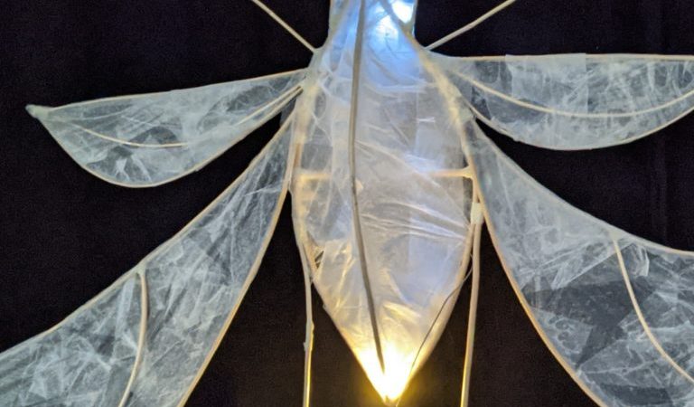 Lichterfest für Daheim