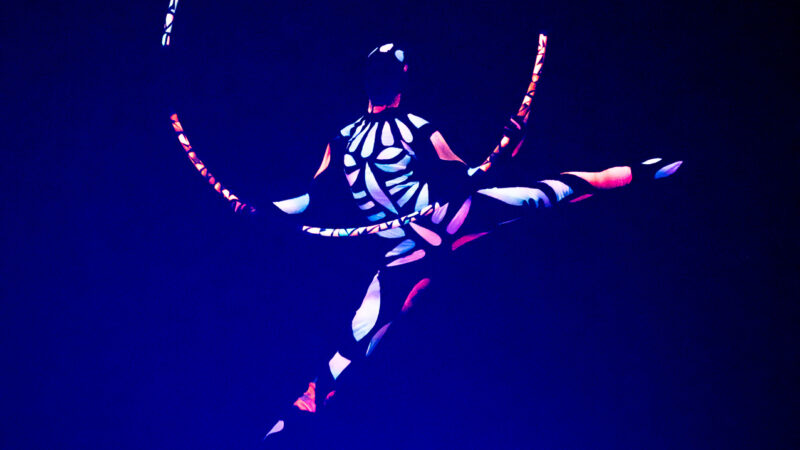 Abtauchen mit dem eVolution dance theater