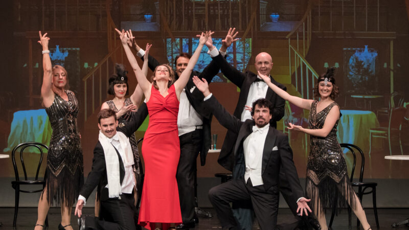 Die Fledermaus